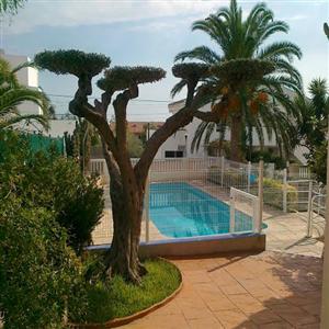 Garden view ( from the pool )