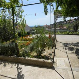 A2+1 (a): Garden