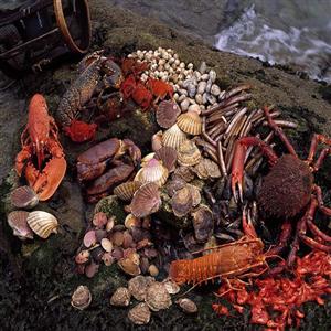 PRODUCTOS TIPICOS