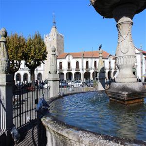 CAMIÑA
