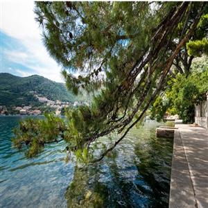 Place under the trees for swimming and sunbathing