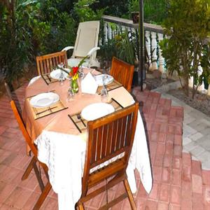 Back garden