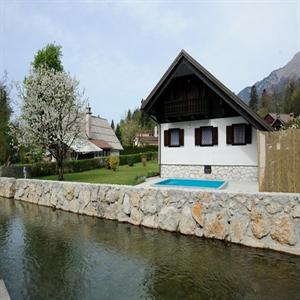 A view to the crystal river Kokra Slovenia