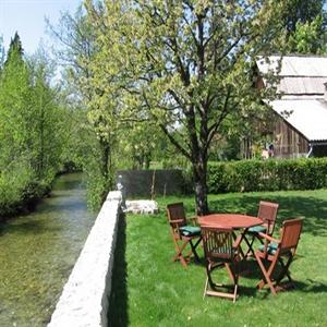 Fly-fishing or swimming in the pure river