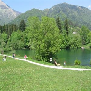 Forest foothpath around the lake