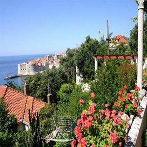 Apartment 3: View