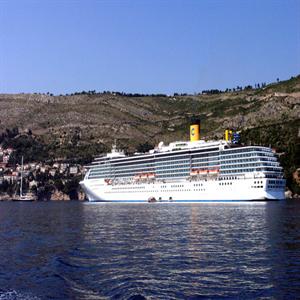 Cruise