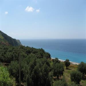 Violet Coast cliff