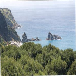 The famous olive tree rock