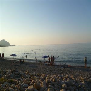 The beach at sunset