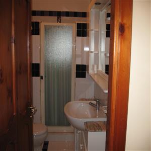 Dora, bathroom with shower stall
