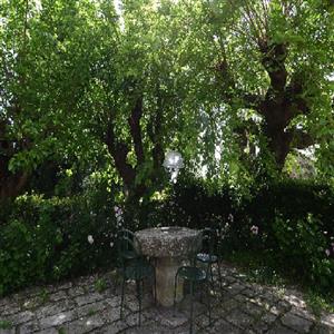 Private Patio