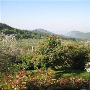 View from Bedrooms