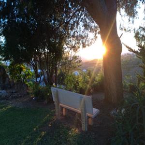 Sunset in the garden