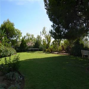 Garden (no trampoline now)