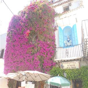 Marbella