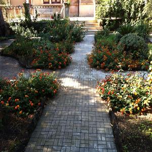 Apartment in Villa Liberty with Garden