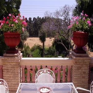 View from Terrace
