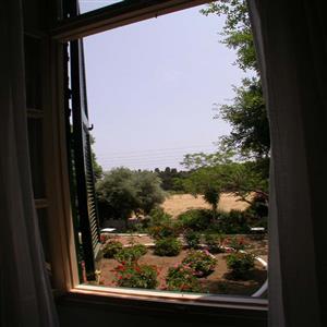 View from Window