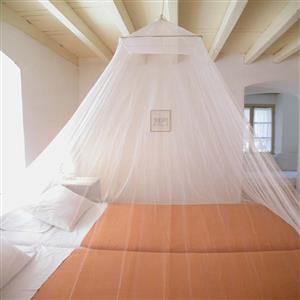 Room 8