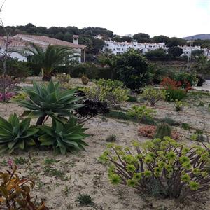 Florish garden