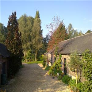View from the East