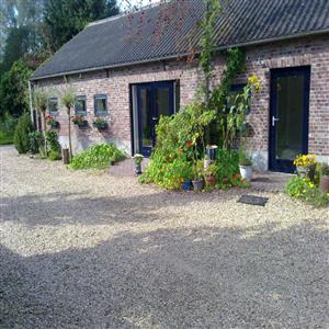 View from the yard