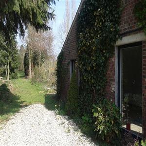 West side and part of garden