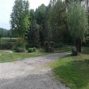 View from living room