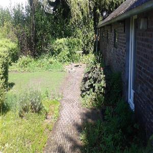 Garden, grass, path, terrace
