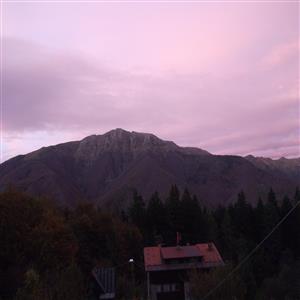 autumn view