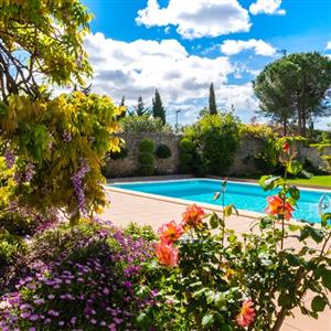 View of pool and garden