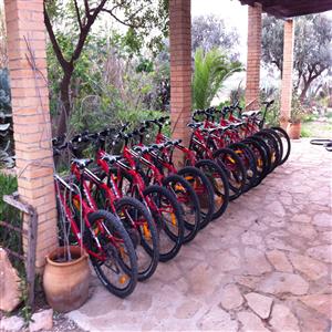 Rent a bike