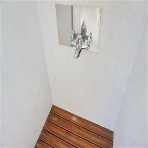 the shower