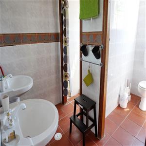 shower and toilet