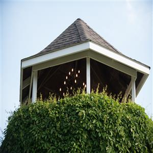Viewing tower